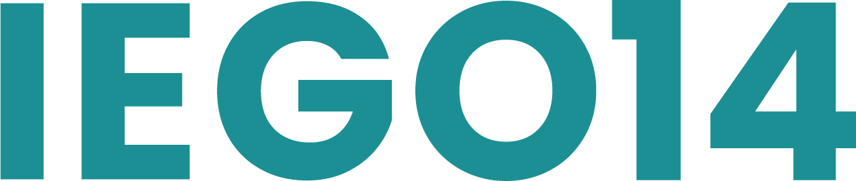 IEGO 14